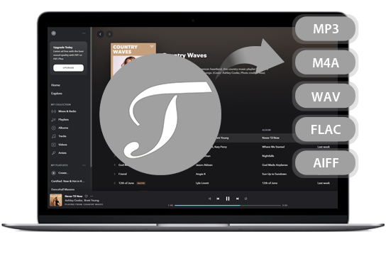 Tiditune: Tidal Music Converter