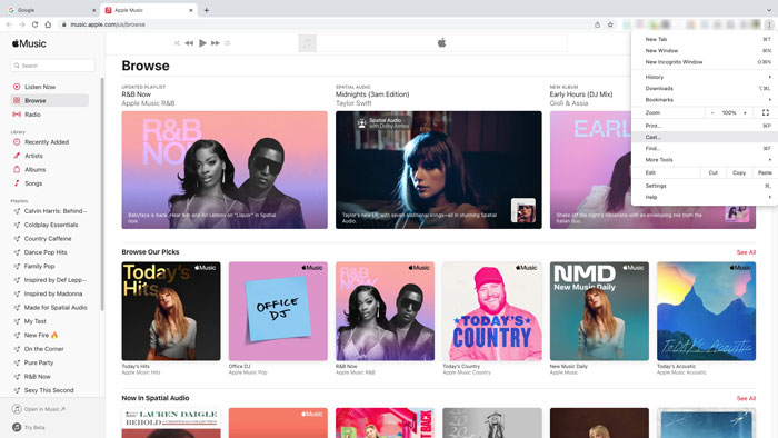 Cast Apple Music web player