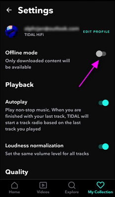 Enable Tidal offline mode