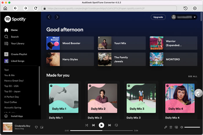 Browse built-in Spotify web player