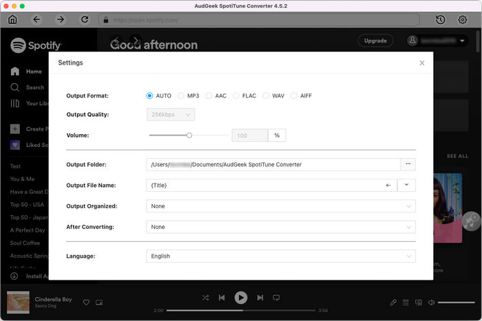 SpotiTune Converter for Mac Output Settings