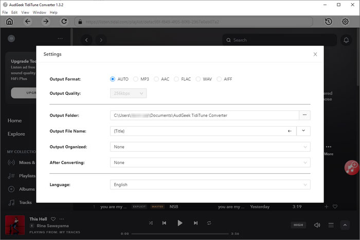 TidiTune Converter Output Settings